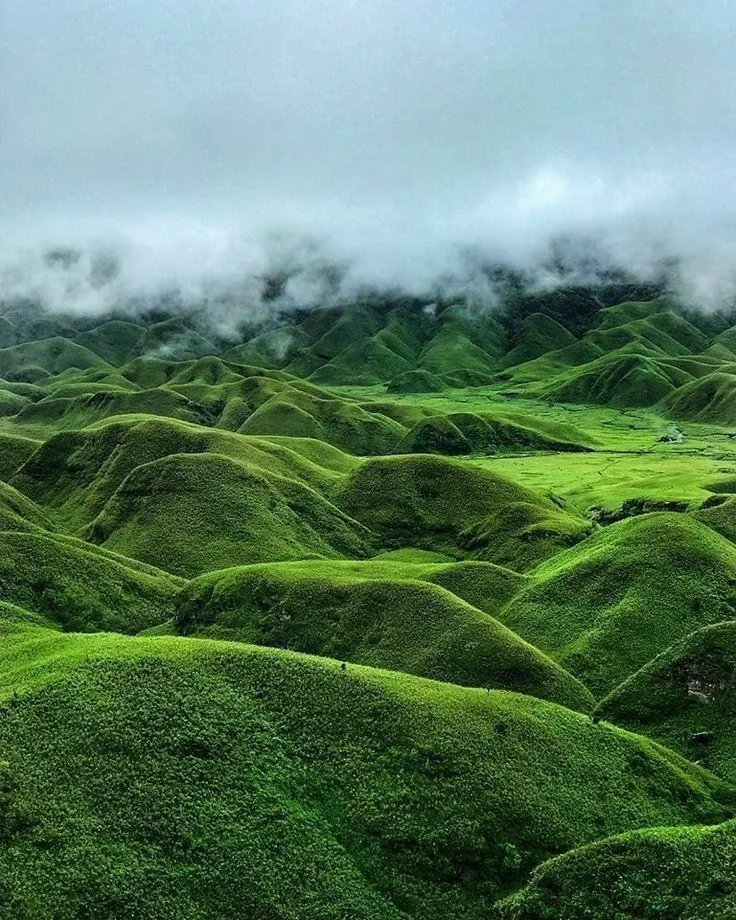  Dzukou Valley & Nagaland