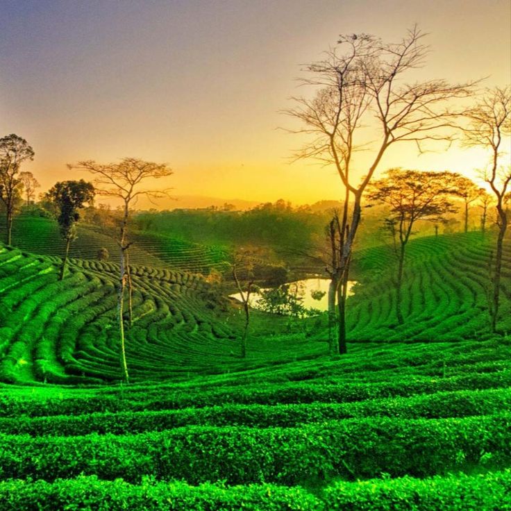 Weekend Gateway — Shillong & Cherrapunji (2 Days)